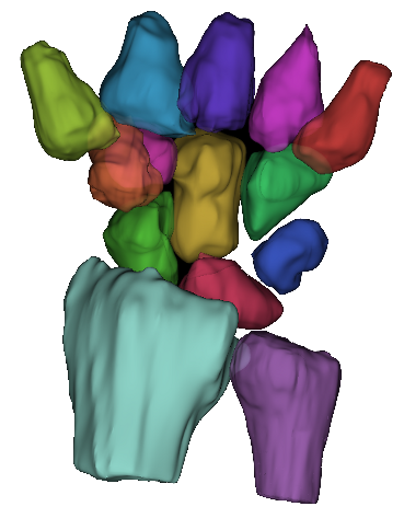 HoloWrist Logo Small