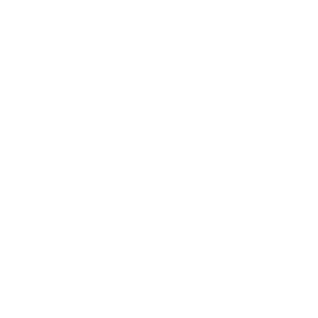 Ultrasound Icon